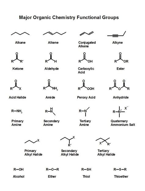 Organic Chemistry 101: Nomenclature | Organic chemistry, Organic ...