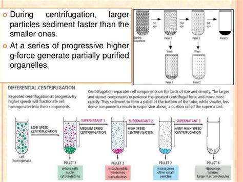 Centrifugation principle and types