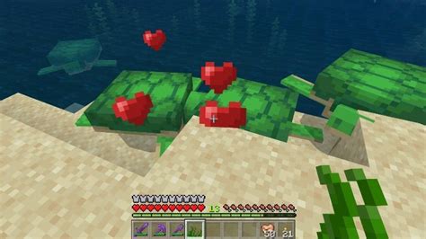 Minecraft: Animal husbandry - how to breed? | gamepressure.com