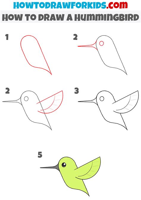 How to Draw a Hummingbird for Kindergarten - Easy Drawing Tutorial