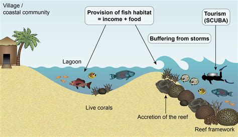 Ecosystem Services [IMAGE] | EurekAlert! Science News Releases