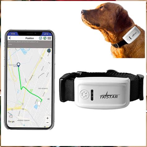 ZEERKEER Pet GPS Tracker Dog GPS Tracker and Pet Finder Waterproof ...