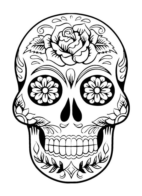 Skull drawing with black ink in white background and flowers and leaves are drawn in face ...