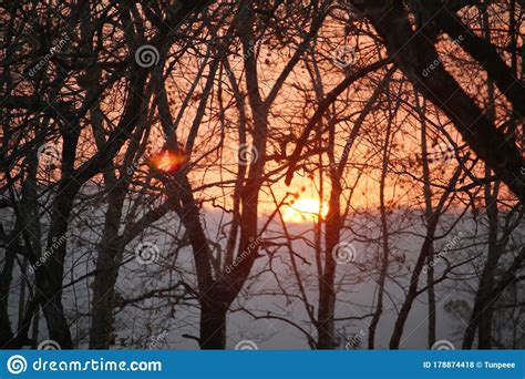 Sunset with the Silhouette of the Trees Stock Photo - Image of outdoor ...