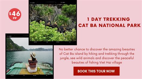 Tour Trekking Cat Ba National Park | Viết