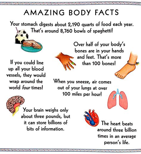 amazing body facts