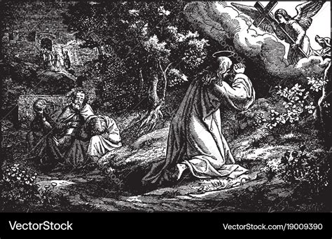 Jesus prays in the garden of gethsemane - peter Vector Image