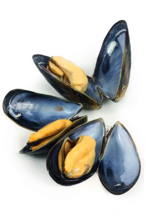 Mussels – The Tech B