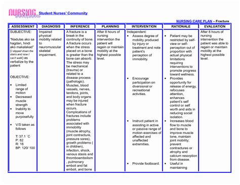 30 Nursing Care Plan | Example Document Template