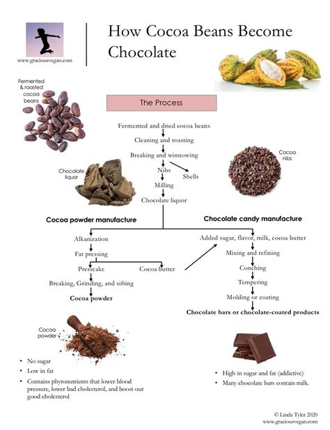 How do Cocoa Beans Become Chocolate? — Gracious Vegan