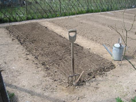 Seed to Feed Me: PREPARING A SEED BED