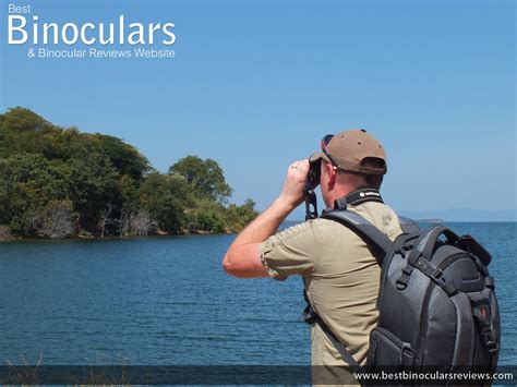 Guide to Bird Watching Binoculars | Best Binoculars for Bird Watching