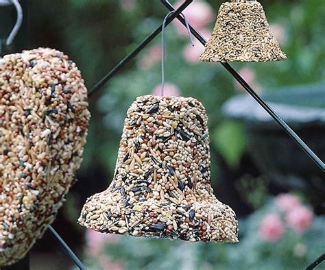 How to make a bird seed bell using pantry staples | Bird seed ornaments ...