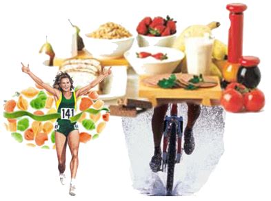 Free Talk: Maximizing Athletic Performance Through Nutrition, August ...