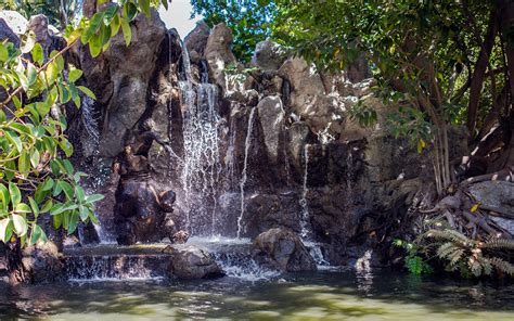 Scenes from the Jungle Cruise