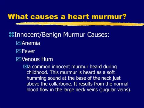 PPT - Heart Murmurs & Valvular Heart Disease PowerPoint Presentation ...