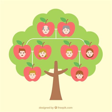 Premium Vector | Family tree with apples