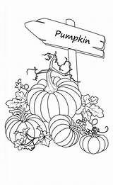 Free Pumpkin Patch Coloring Pages  Home sketch template