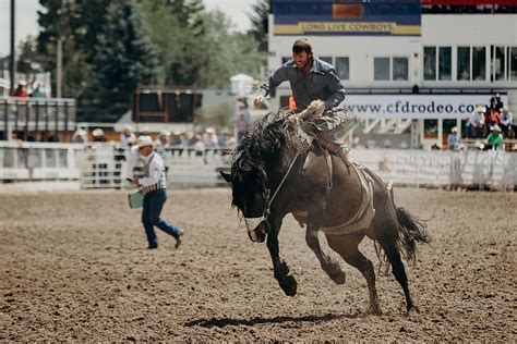 HD wallpaper: man riding a horse, rodeo, person, people, human, united states | Wallpaper Flare