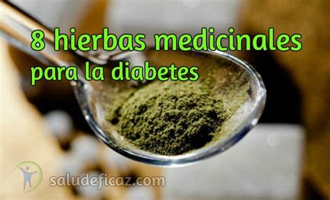 8 hierbas medicinales para la diabetes