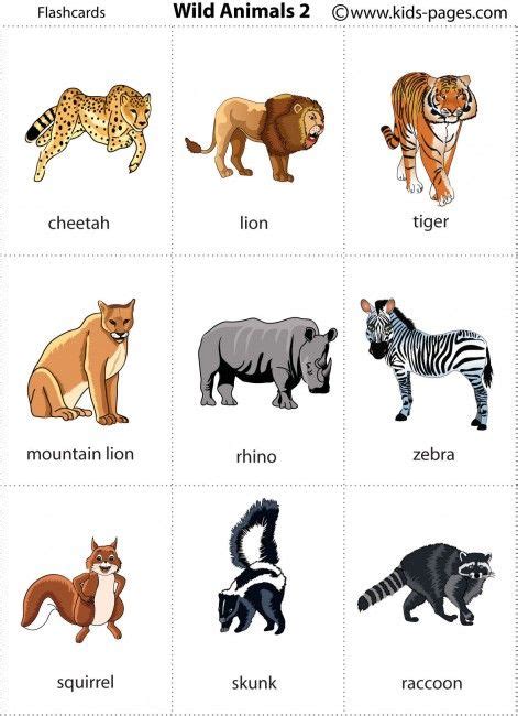 Wild Animals Flashcards Kaplan Gre Vocabulary | Kleos Canariasgestalt