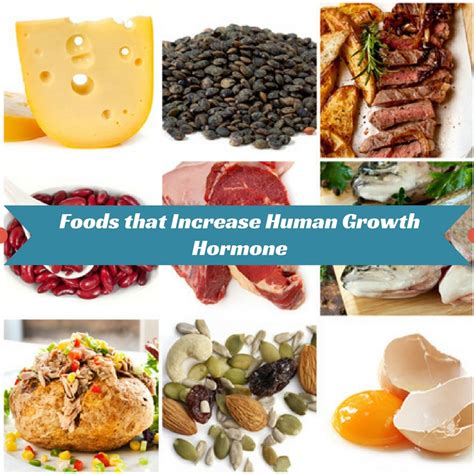 Foods that Increase Human Growth Hormone Naturally