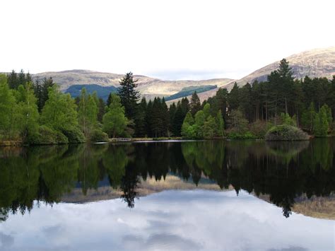 Lake Reflection Free Photo Download | FreeImages