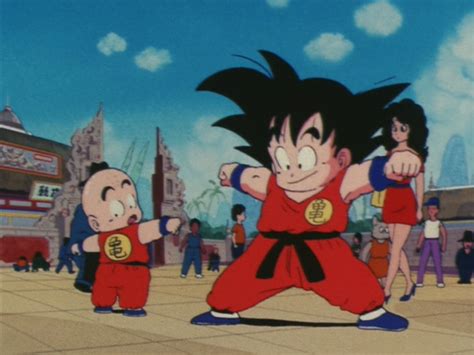 Image - TurtleOutfit.png | Dragon Ball Wiki | FANDOM powered by Wikia