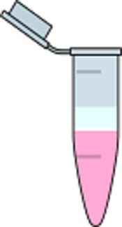 Optimized Storage Methods of RNA Extraction from Formalin Fixed ...