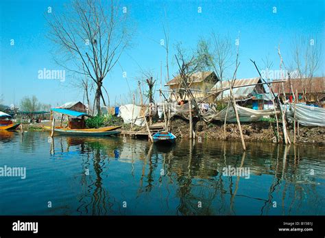 Dal lake Kashmir Stock Photo - Alamy