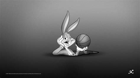 Looney Tunes Basketball Wallpapers on WallpaperDog