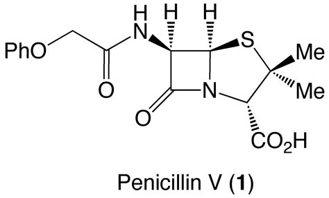 Classic Synthesis I – Penicillin V | chemistonthekeys