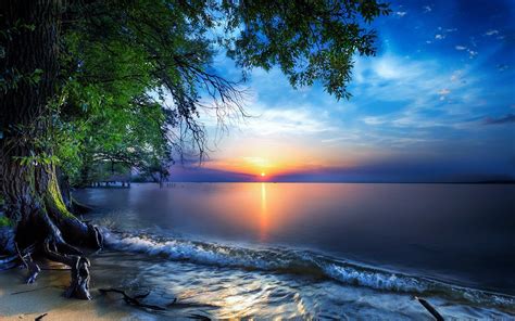 Nature Sea Sky Skyline Sun Tree Wallpaper, HD Nature 4K Wallpapers, Images and Background ...