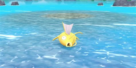 Pokemon Let's Go Player Finally Gets Shiny Magikarp After Three Years of Trying