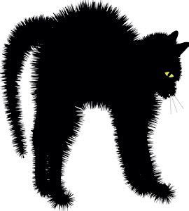 Scaredy Cat All Black Cat, Black Cat Art, Black Cats, Silhouettes, Happy Halloween, Pet Dogs ...