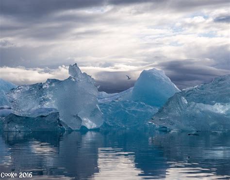 GLACIER LAGOON (2024) All You Need to Know BEFORE You Go (with Photos)