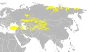 Category:Linguistic maps of Turkic languages - Wikimedia Commons