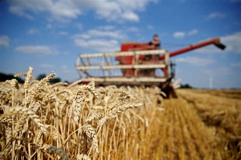 Ukraine's April 6-12 sea port grain exports fall nearly 20% on week | UNIAN