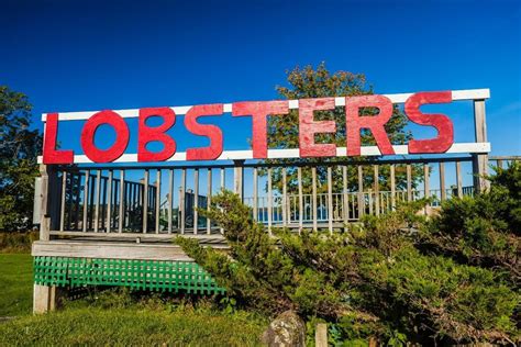 Your Guide To Maine Lobster Delivery - Lobster To Go