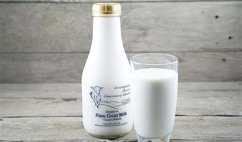 Homemade Infant Formula (goat milk) – Well Nourished Home