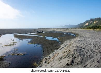 119 Gold Bluff Beach Images, Stock Photos & Vectors | Shutterstock