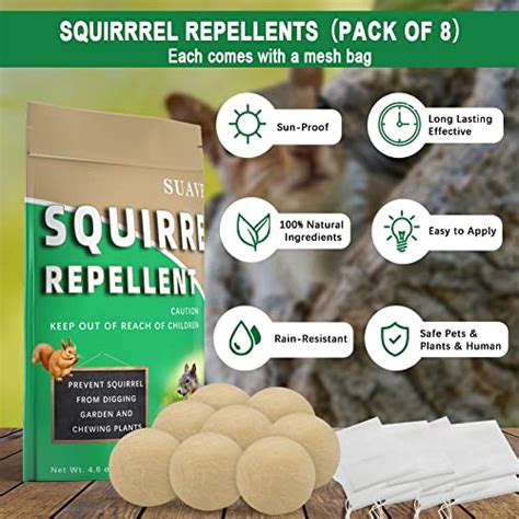 SUAVEC Squirrel Repellent Outdoor, Chipmunk Repellent Outdoor, Squirrel Deterrent Mint ...