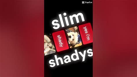 The real slim shady - YouTube