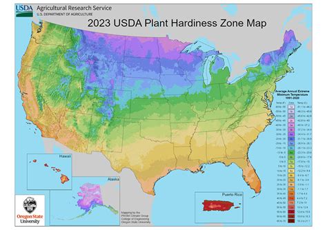 Guide to the New USDA Plant Hardiness Zone Map - Farm Flavor