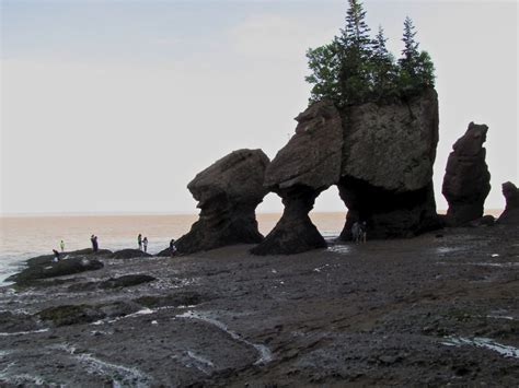 Bay of Fundy 3 - The Thousand Miler