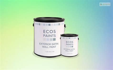 Top Best Eco Friendly Paints For Your Living Room