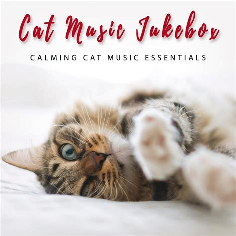 Cat Music Jukebox - Calming Cat Music Essentials | iHeart