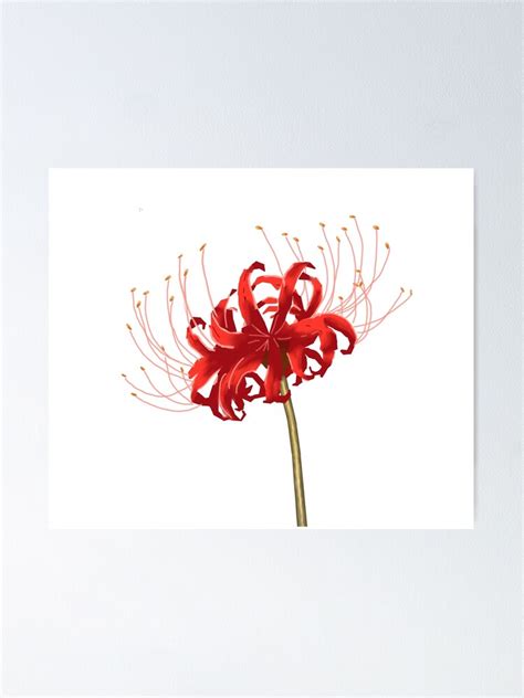 "Japanese Higanbana / Anime Death Flower" Poster for Sale by indieyes ...