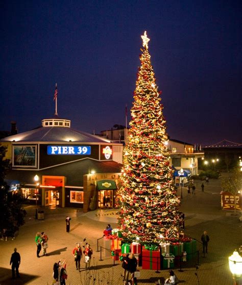 Pier 39 Christmas Tree Lighting | Christmas tree lighting, Christmas in ...