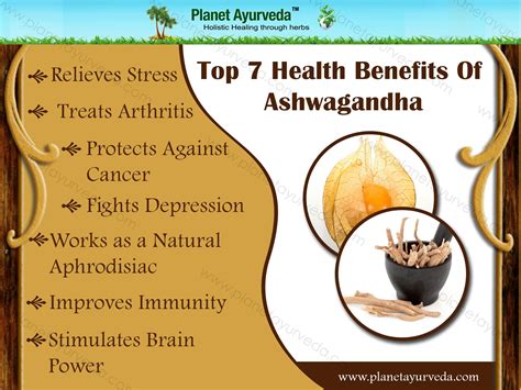 Top 7 Health Benefits Of Ashwagandha | Ashwagandha, Health, Holistic healing